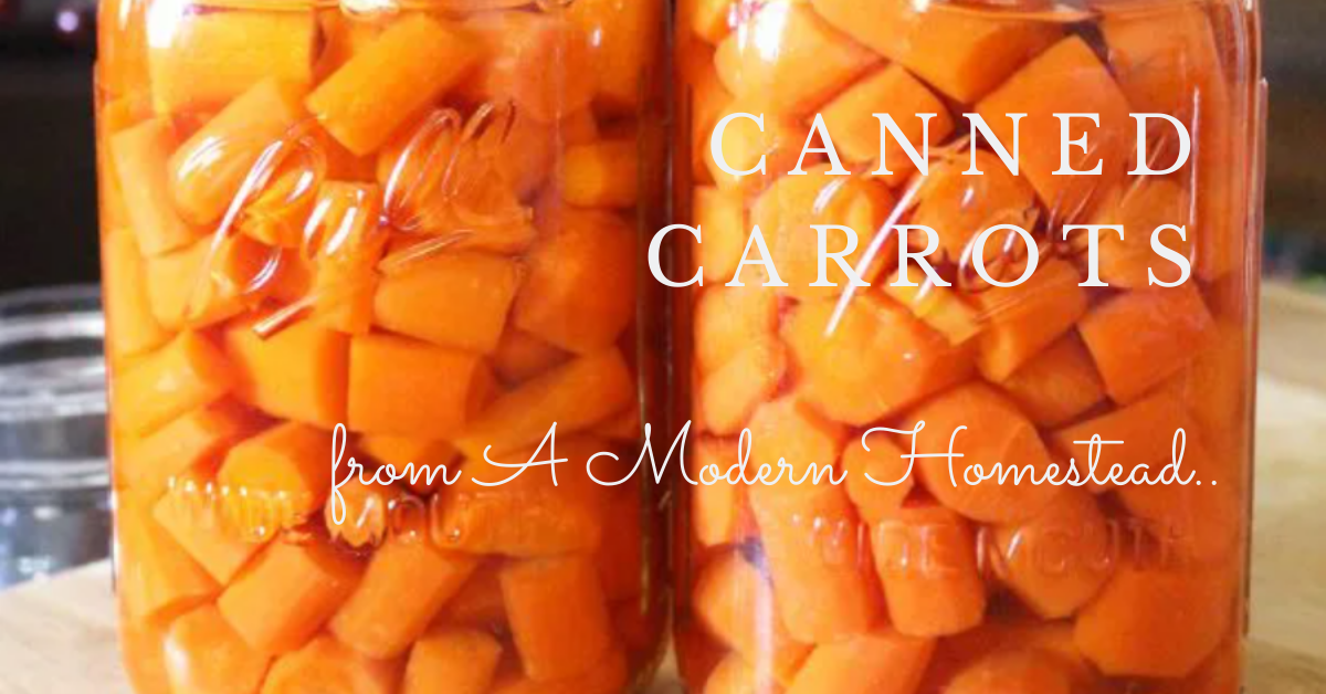 carrots ina  canning jar